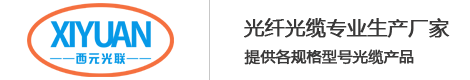 江蘇西元光聯通信科技有限公司